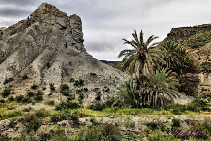 Alojamiento Dunas Centro Tabernas Εξωτερικό φωτογραφία
